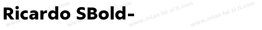 Ricardo SBold字体转换